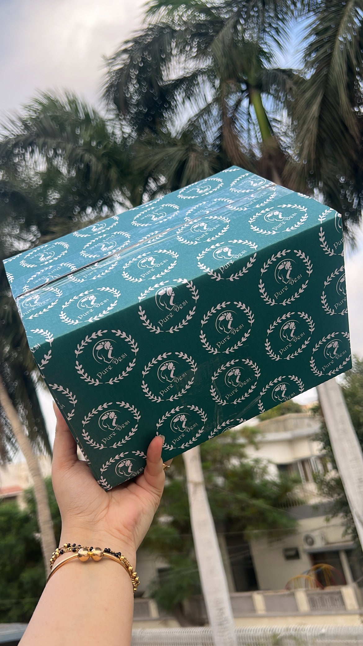 Azaadi Box/Bag