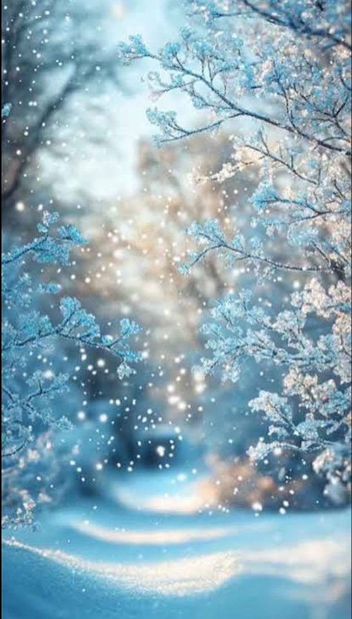 Festive Collection Sample Pouch